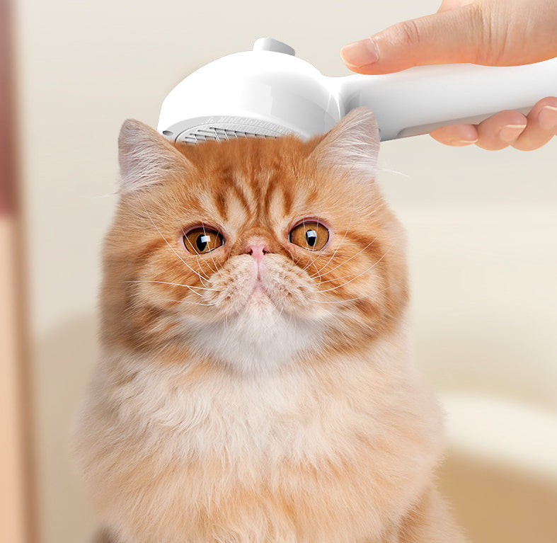 Pet Self-Cleaning Grooming Comb Mist Humidifier Dematting Brush