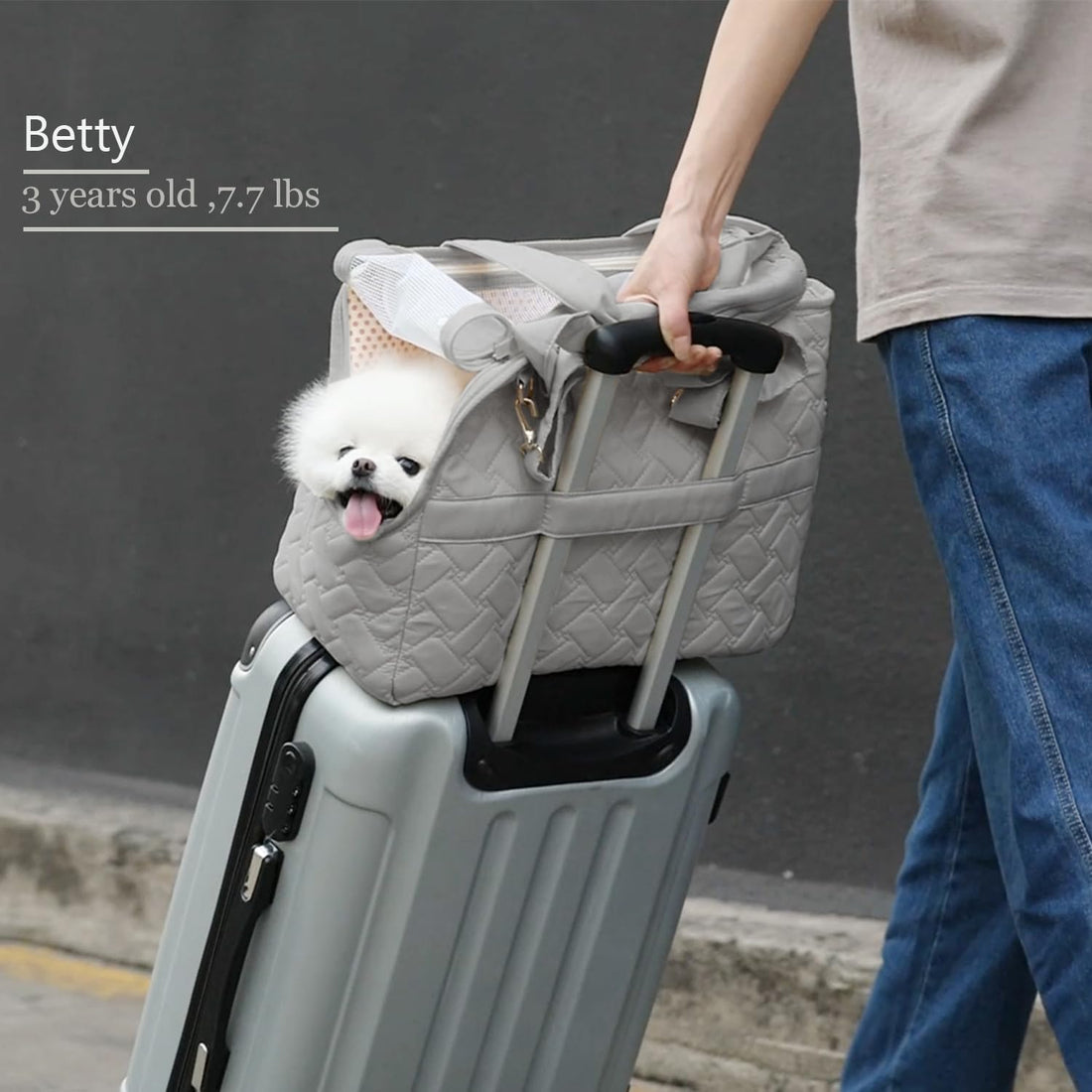 Pet Breathable Mesh Soft Cushion Carrier Bag