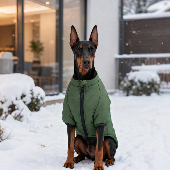 Cotton Pet Two Leg Jacket Warm Clothing