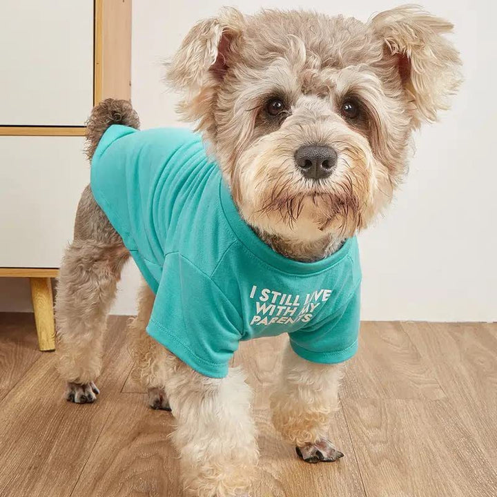 Pet Round Neck T Shirt Clothing Apparel