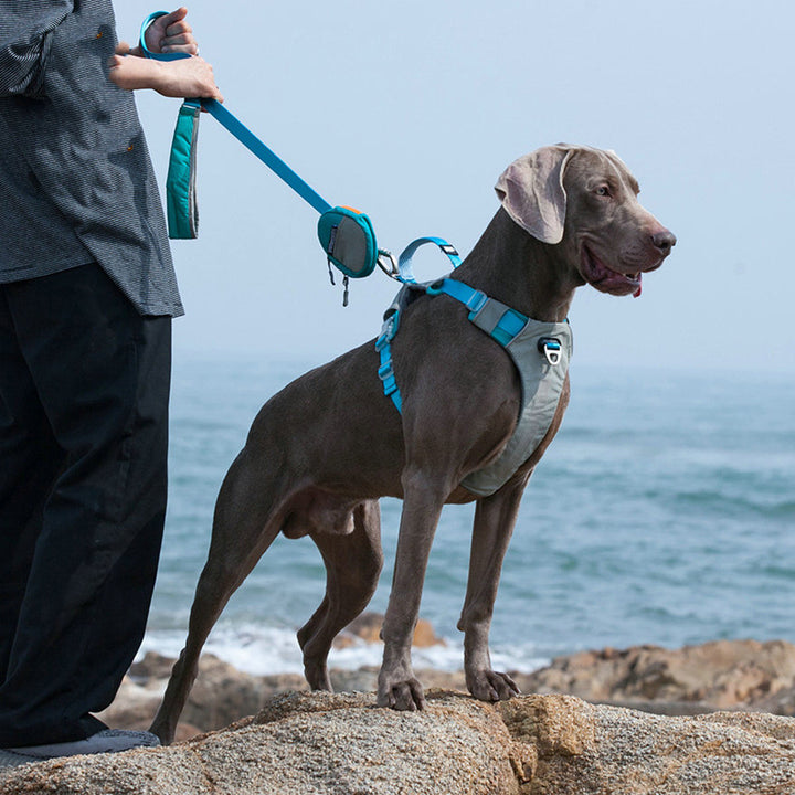 Pet Explosion-Proof Chest Strap Leash Storage Bag