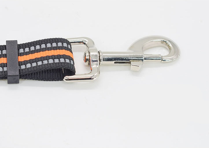 Pet Nylon Retractable Assisted Leash