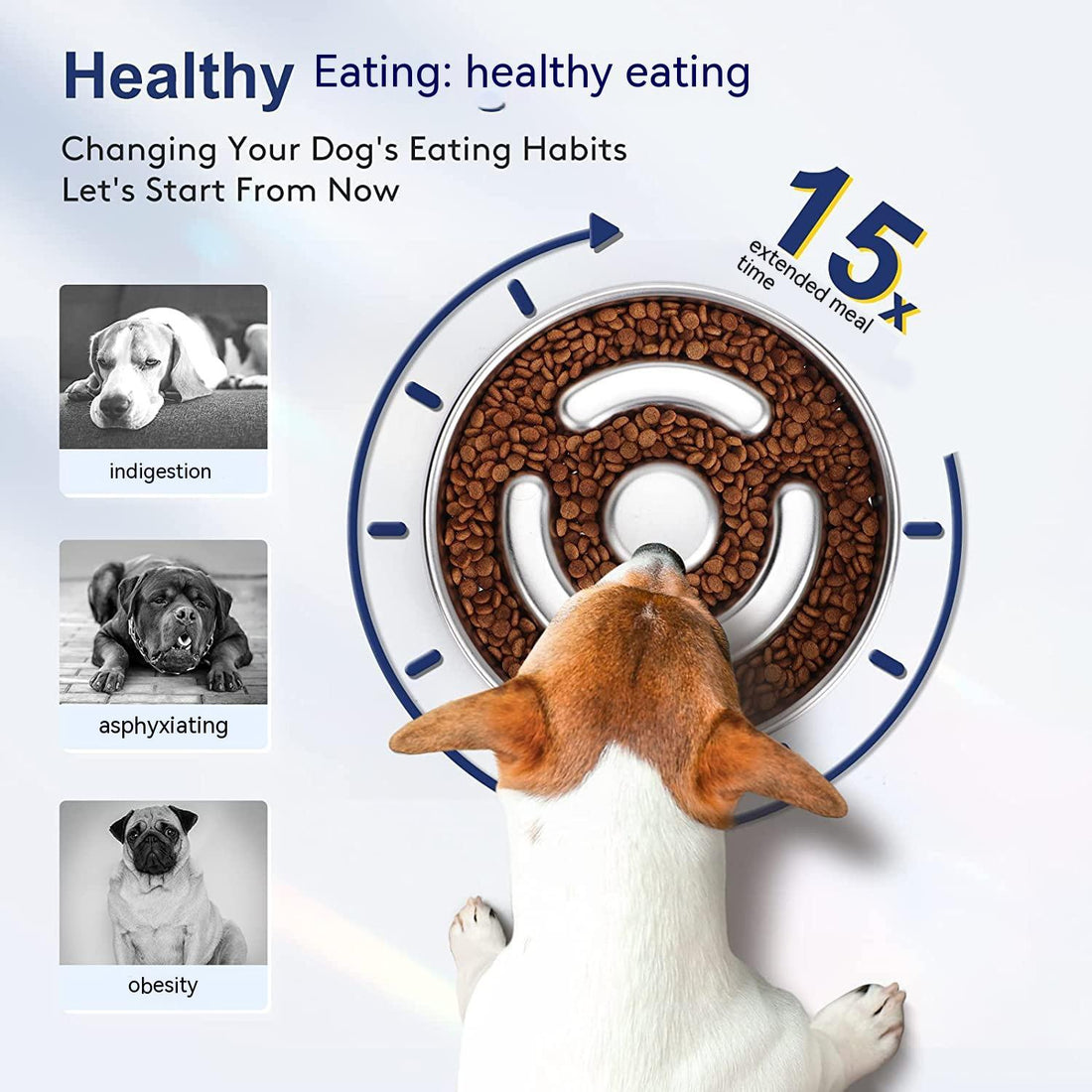 Slow Feeding Pet Bowl with Stainless Steel Neck Guard