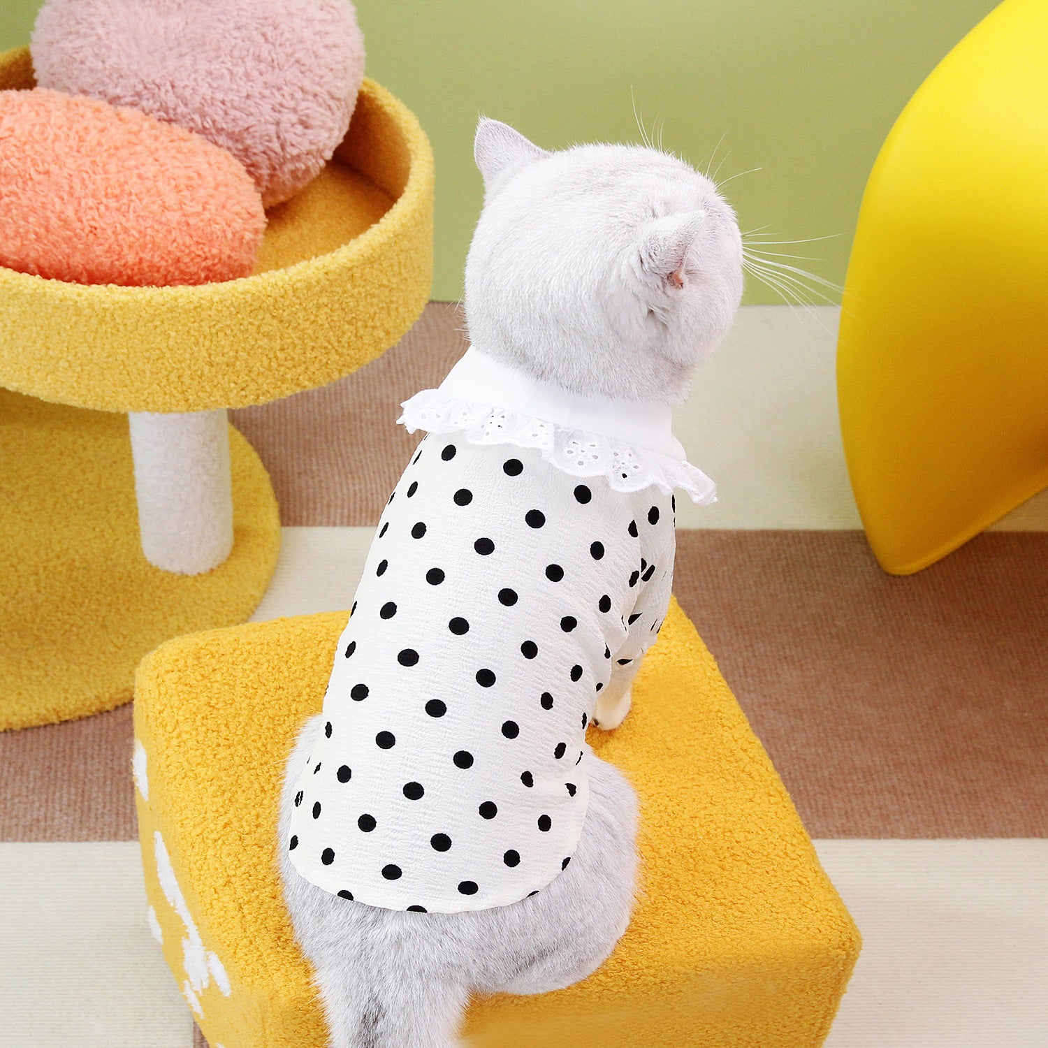 Blue Pet T Shirt Clothing Apparel