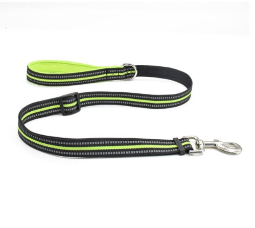 Pet Nylon Retractable Assisted Leash