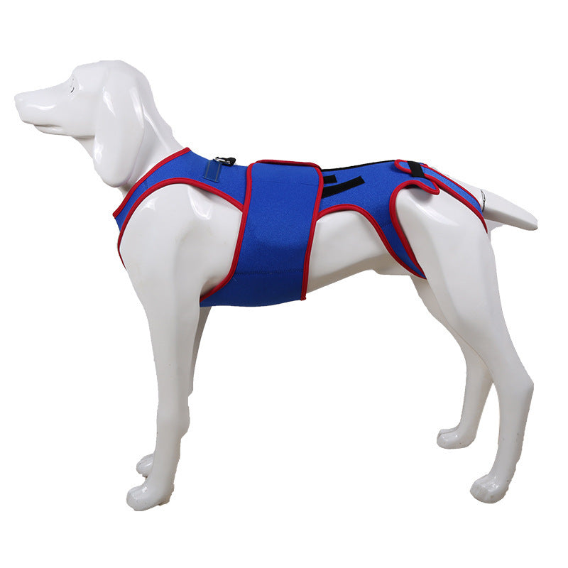 Pet Spine Support Jacket for Posture Correction