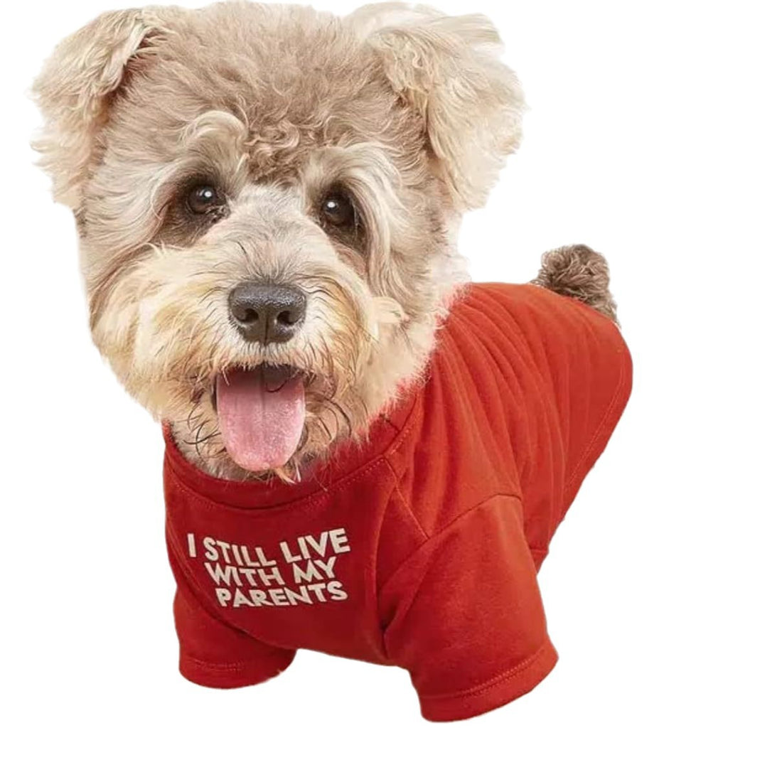Pet Round Neck T Shirt Clothing Apparel