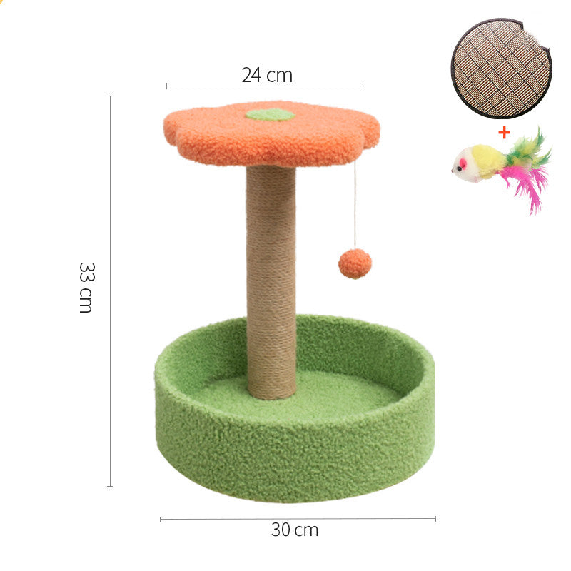 Interactive Pet Claw Grinding Teasing Toy