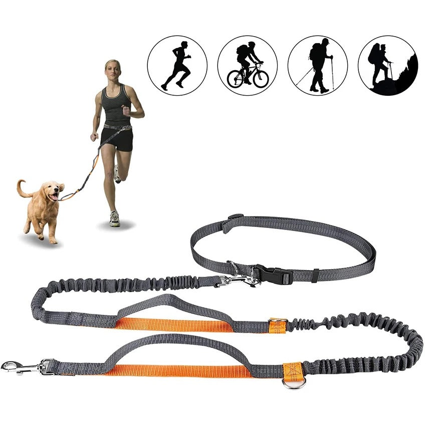 Pet Adjustable Jogging Harness Leash Collar