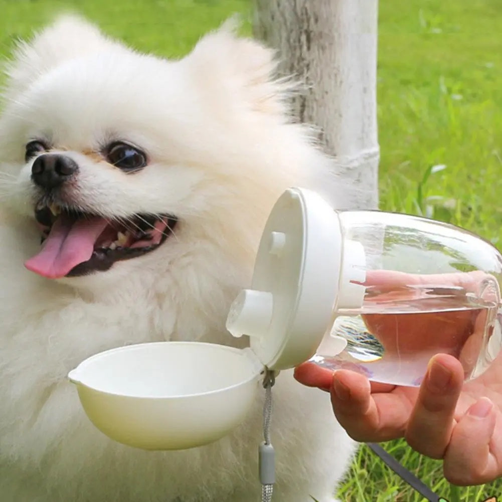 Portable Outdoor Pet Water Bottle with Lanyard