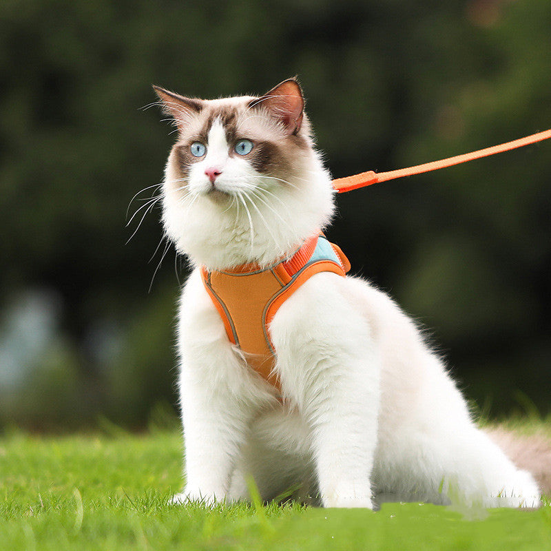 Pet Reflective Anti-Escape Harness Leash Set