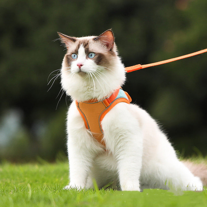 Pet Reflective Anti-Escape Harness Leash Set