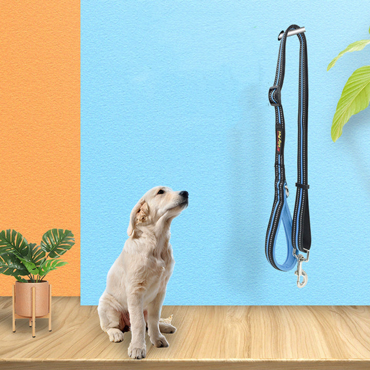Pet Nylon Retractable Assisted Leash