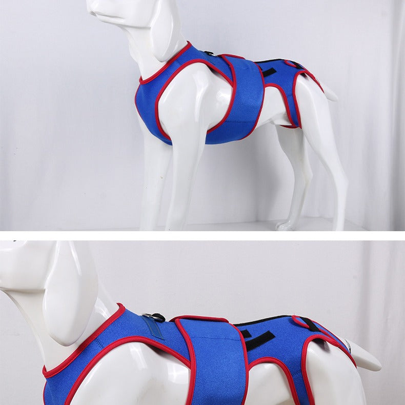 Pet Spine Support Jacket for Posture Correction