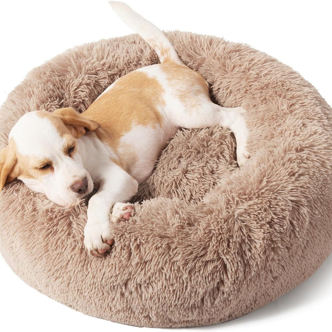 Indoor Solid Color Non Slip Fluffy Plush Pet Bed