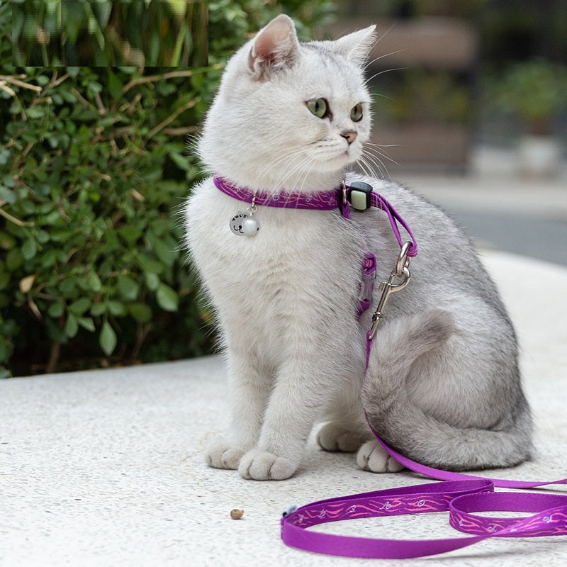 Pet Bell Chest Strap Vest Leash Set