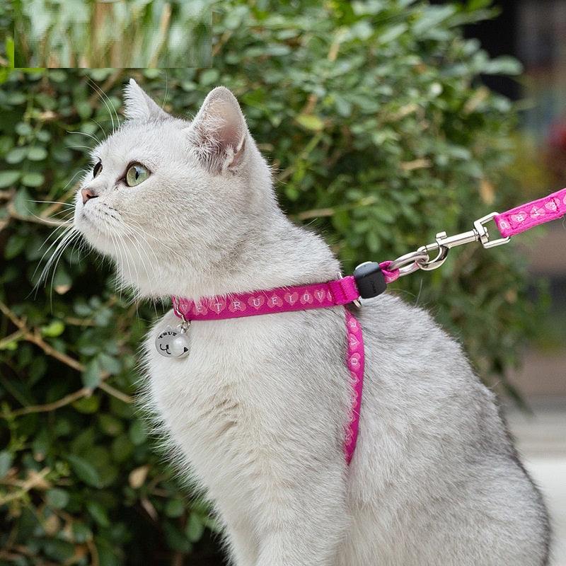 Pet Bell Chest Strap Vest Leash Set