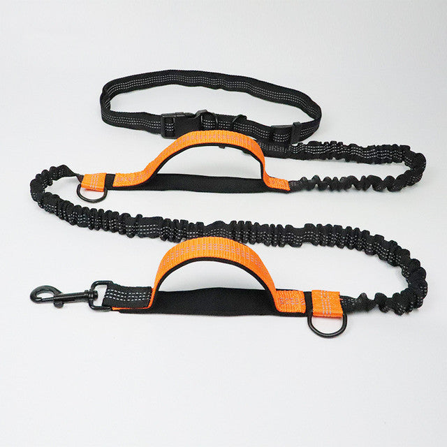 Pet Adjustable Jogging Harness Leash Collar