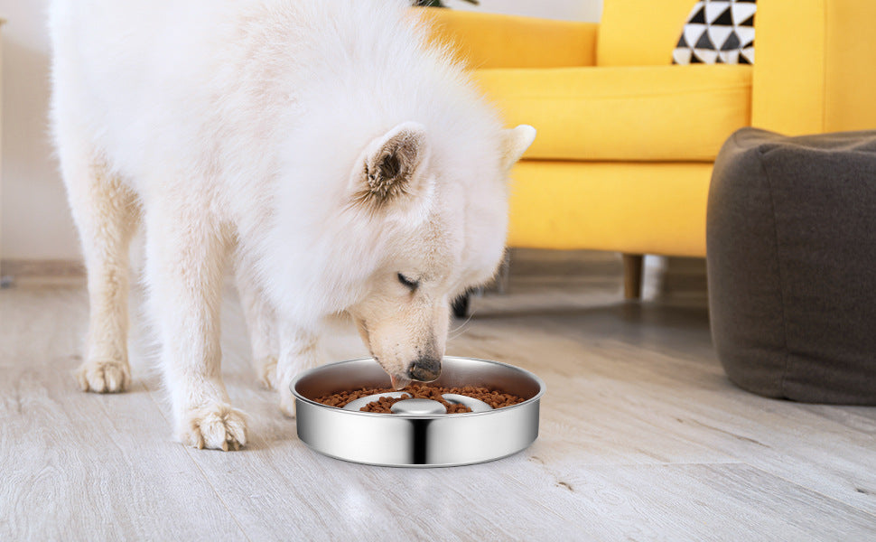 Slow Feeding Pet Bowl with Stainless Steel Neck Guard