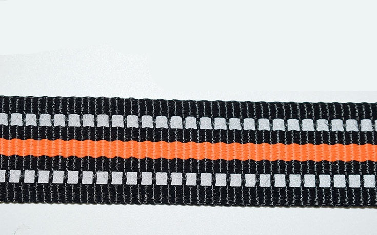 Pet Nylon Retractable Assisted Leash